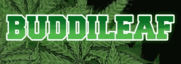 BuddiLeaf Banner